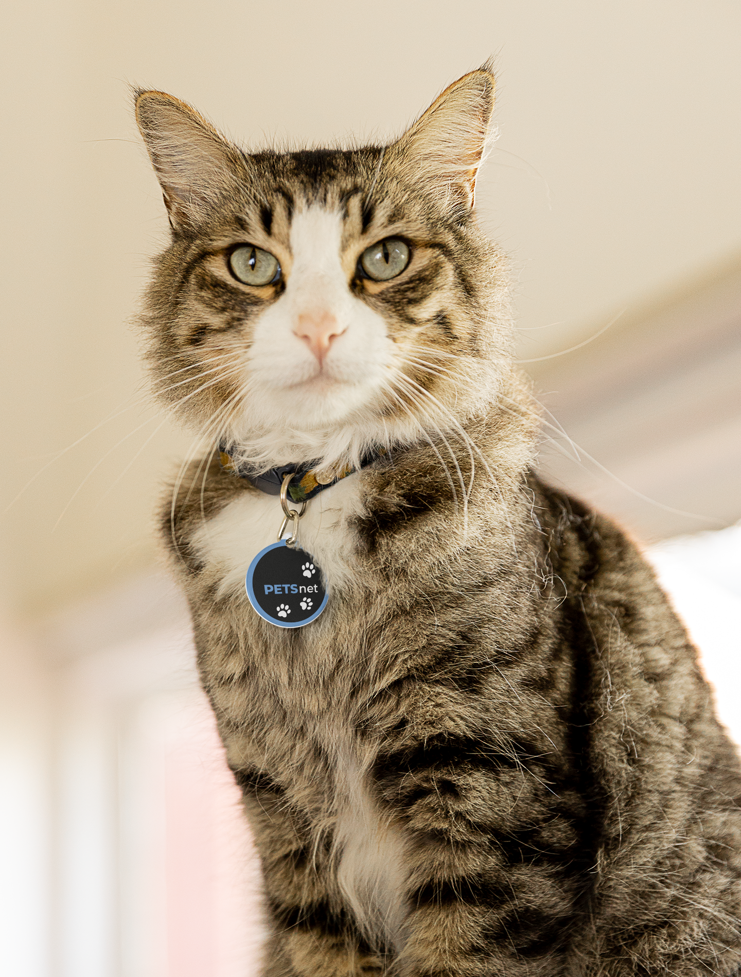 🐾 PETSnet